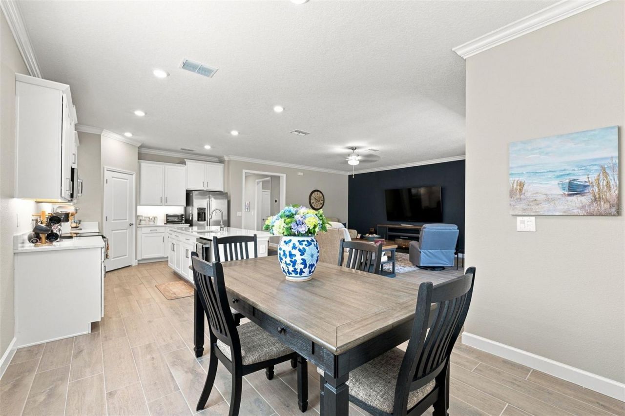 17254 Mango Shay Court, Land O Lakes, FL 34638 Photo