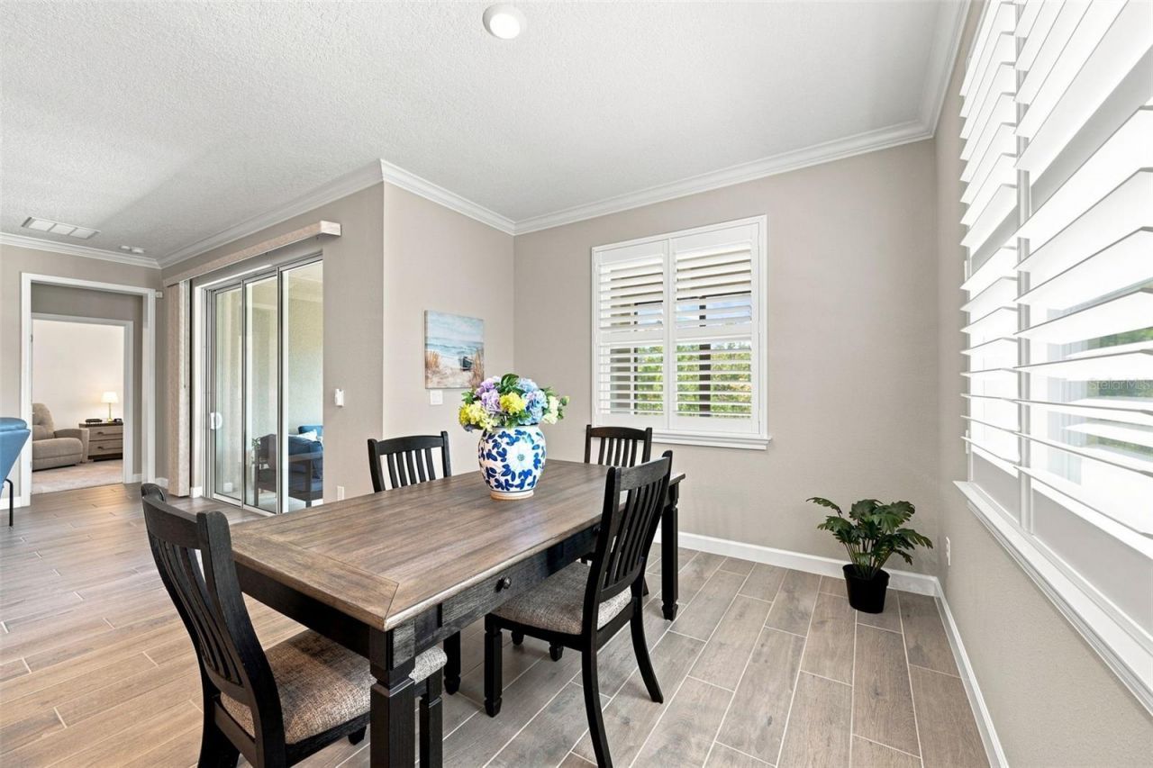 17254 Mango Shay Court, Land O Lakes, FL 34638 Photo