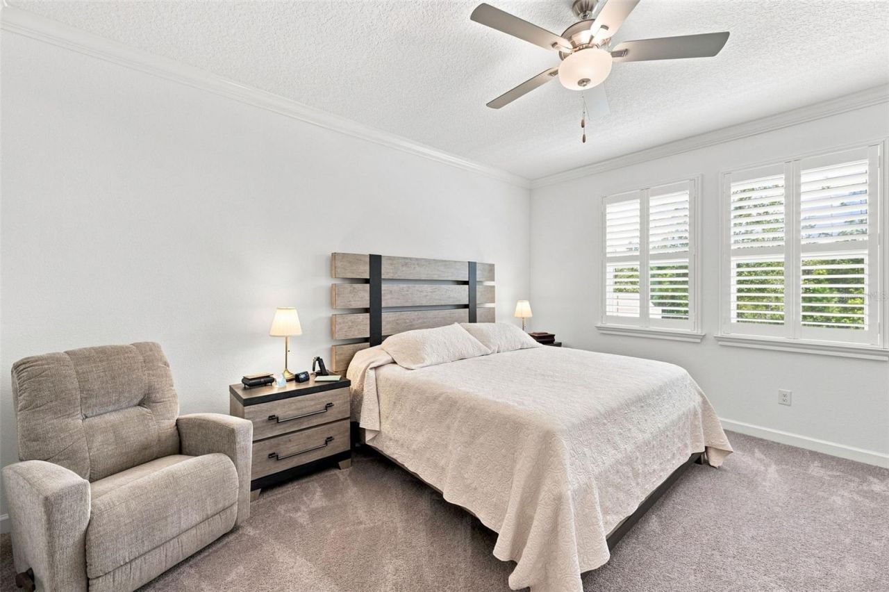 17254 Mango Shay Court, Land O Lakes, FL 34638 Photo