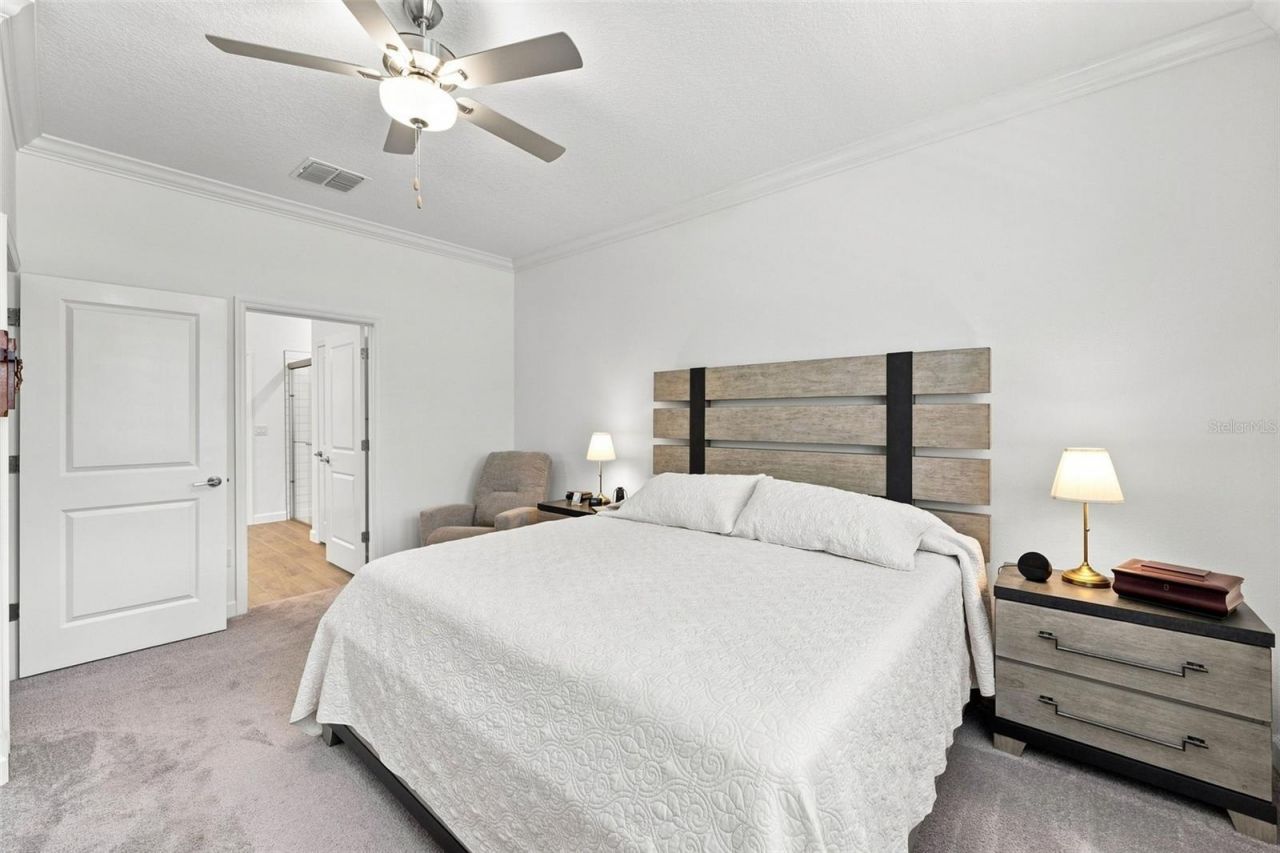 17254 Mango Shay Court, Land O Lakes, FL 34638 Photo
