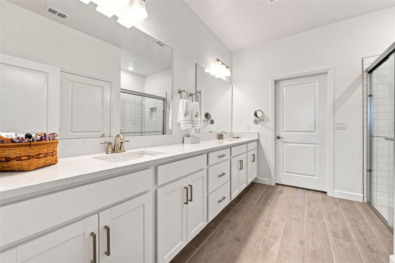 17254 Mango Shay Court, Land O Lakes, FL 34638 Photo