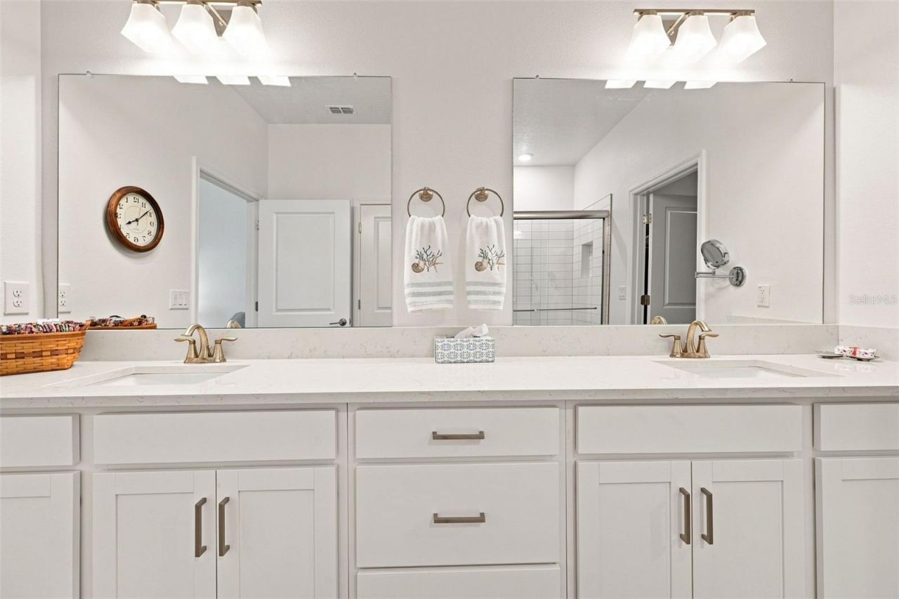 17254 Mango Shay Court, Land O Lakes, FL 34638 Photo