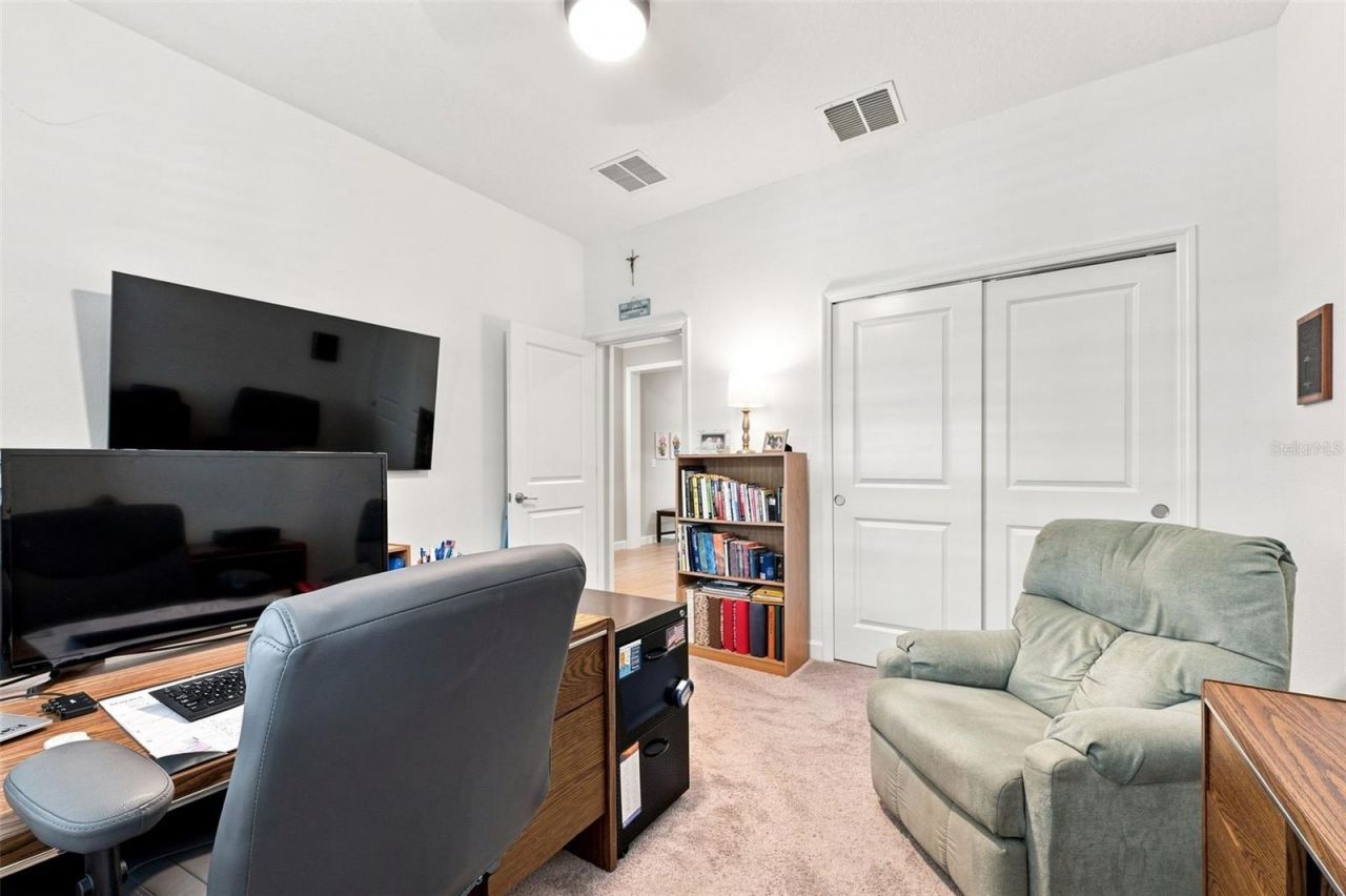 17254 Mango Shay Court, Land O Lakes, FL 34638 Photo