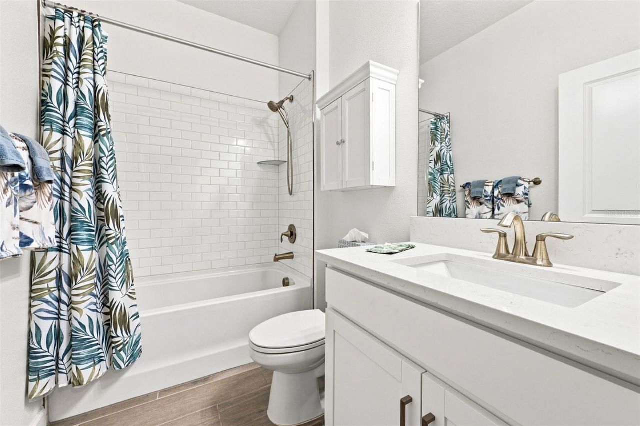 17254 Mango Shay Court, Land O Lakes, FL 34638 Photo