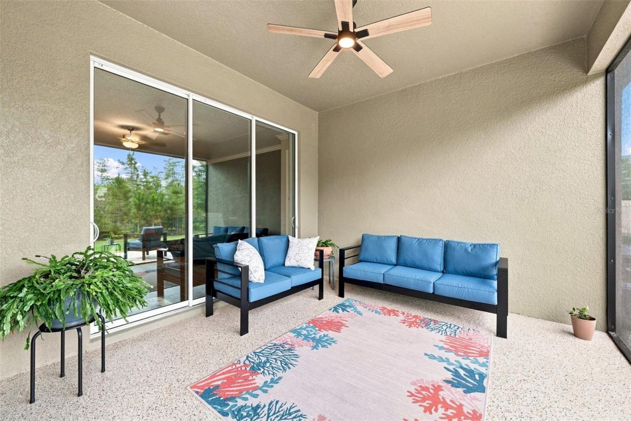 17254 Mango Shay Court, Land O Lakes, FL 34638 Photo