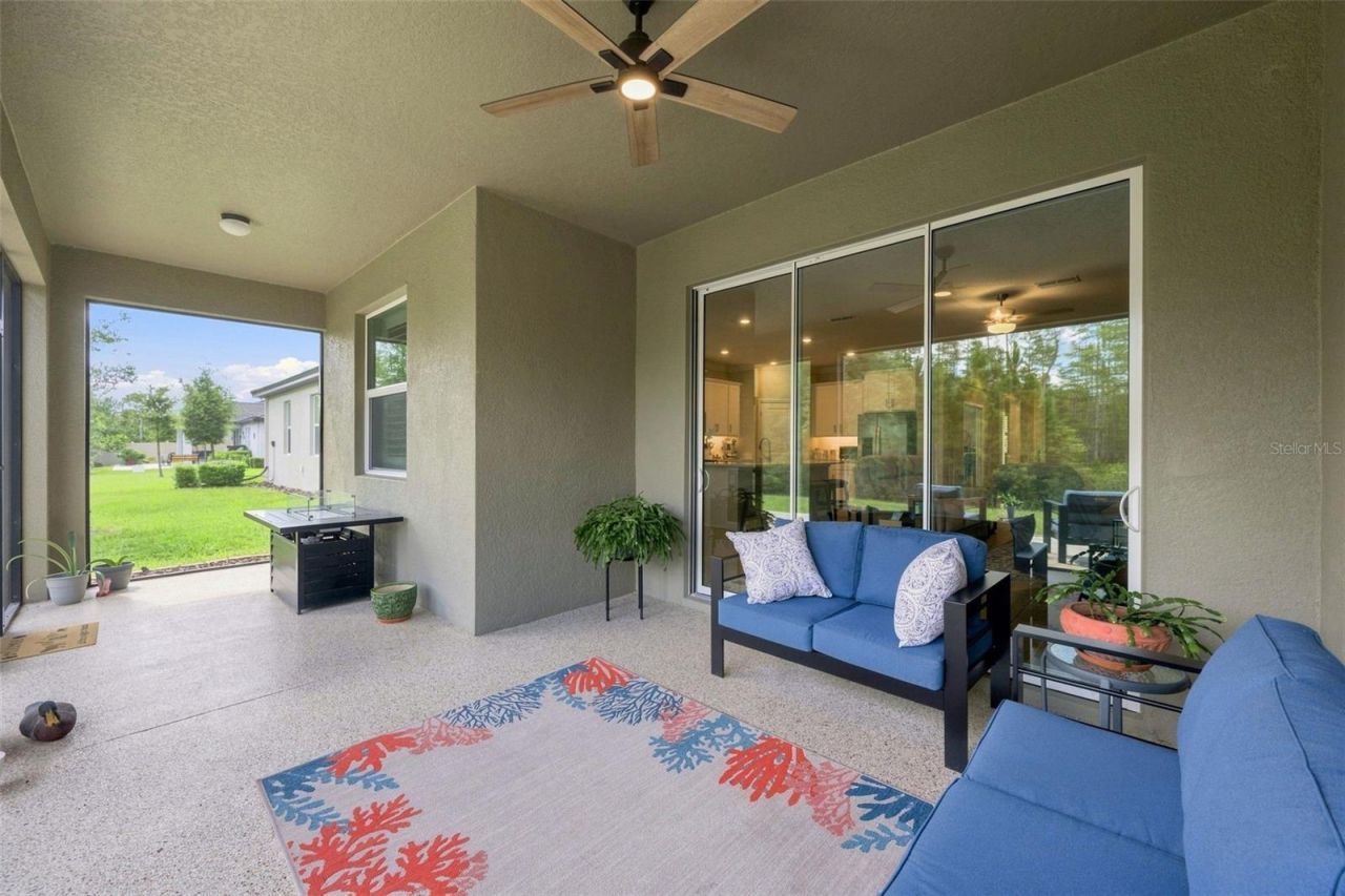 17254 Mango Shay Court, Land O Lakes, FL 34638 Photo