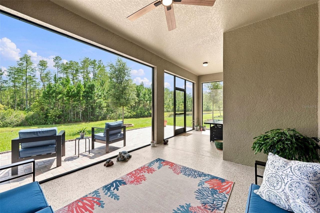 17254 Mango Shay Court, Land O Lakes, FL 34638 Photo
