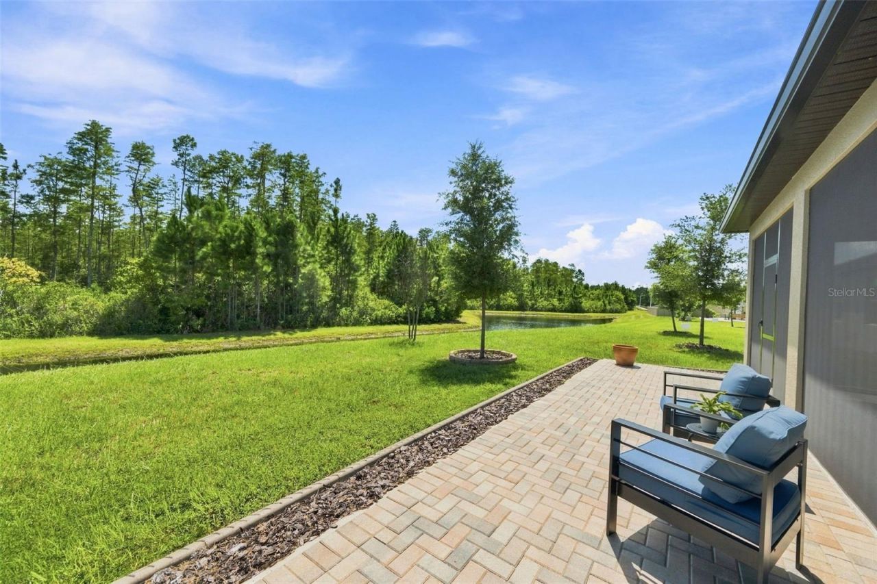 17254 Mango Shay Court, Land O Lakes, FL 34638 Photo