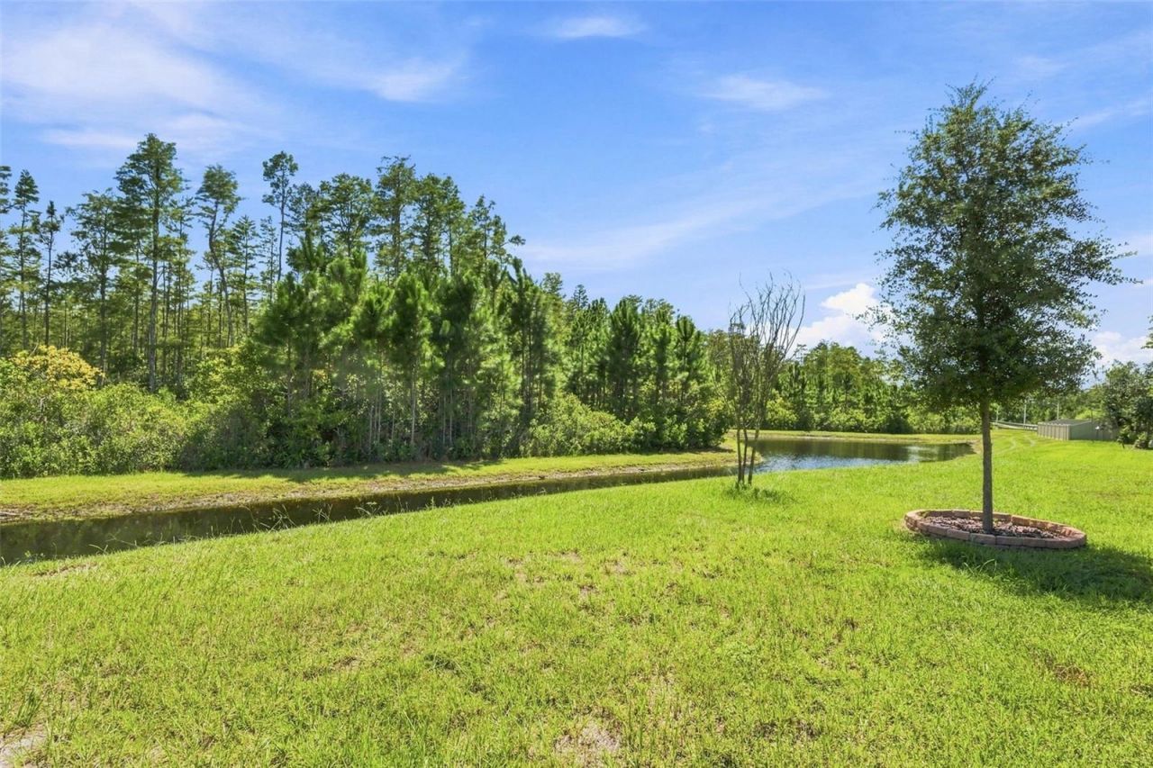 17254 Mango Shay Court, Land O Lakes, FL 34638 Photo