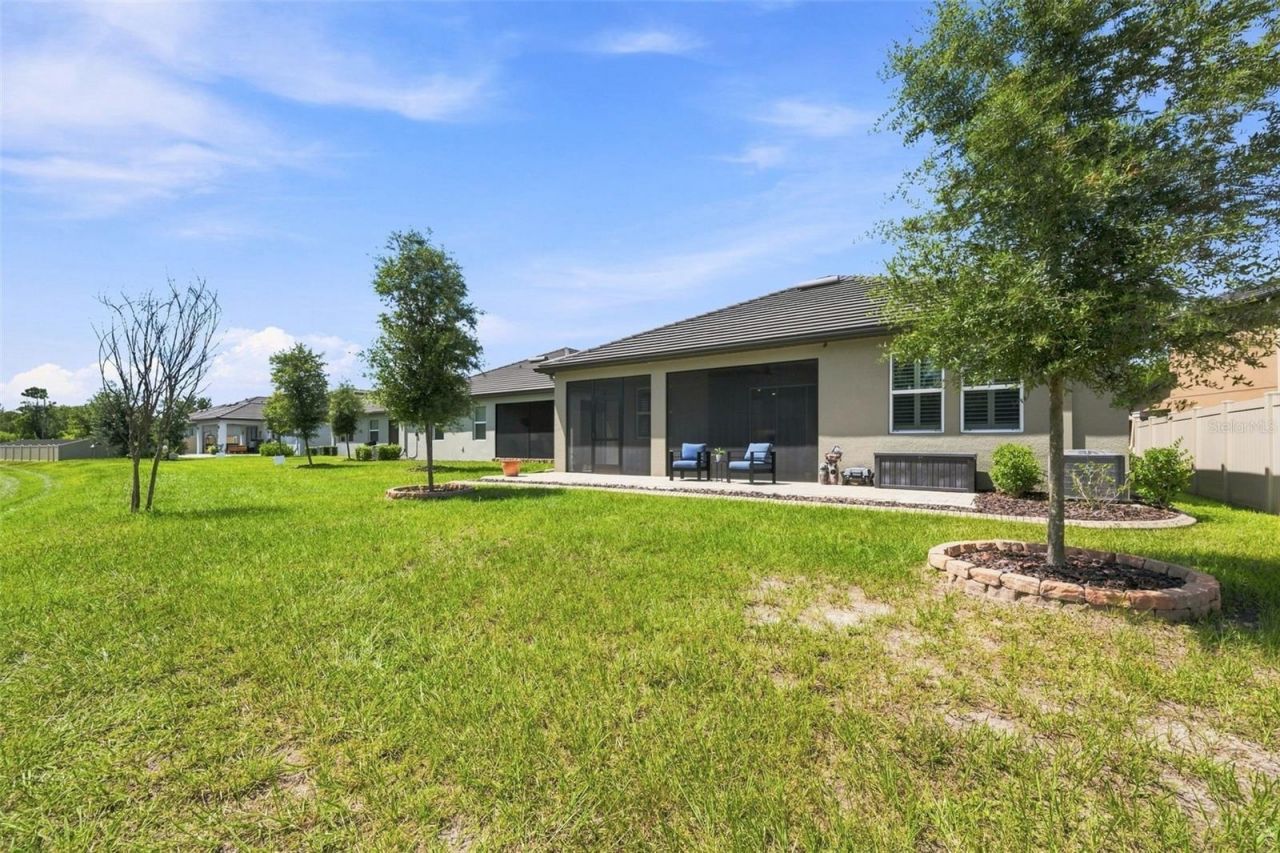 17254 Mango Shay Court, Land O Lakes, FL 34638 Photo