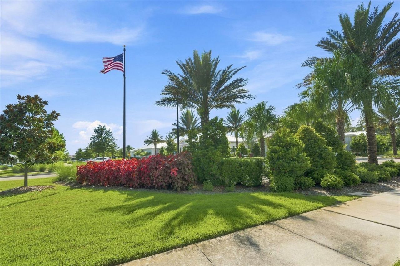 17254 Mango Shay Court, Land O Lakes, FL 34638 Photo