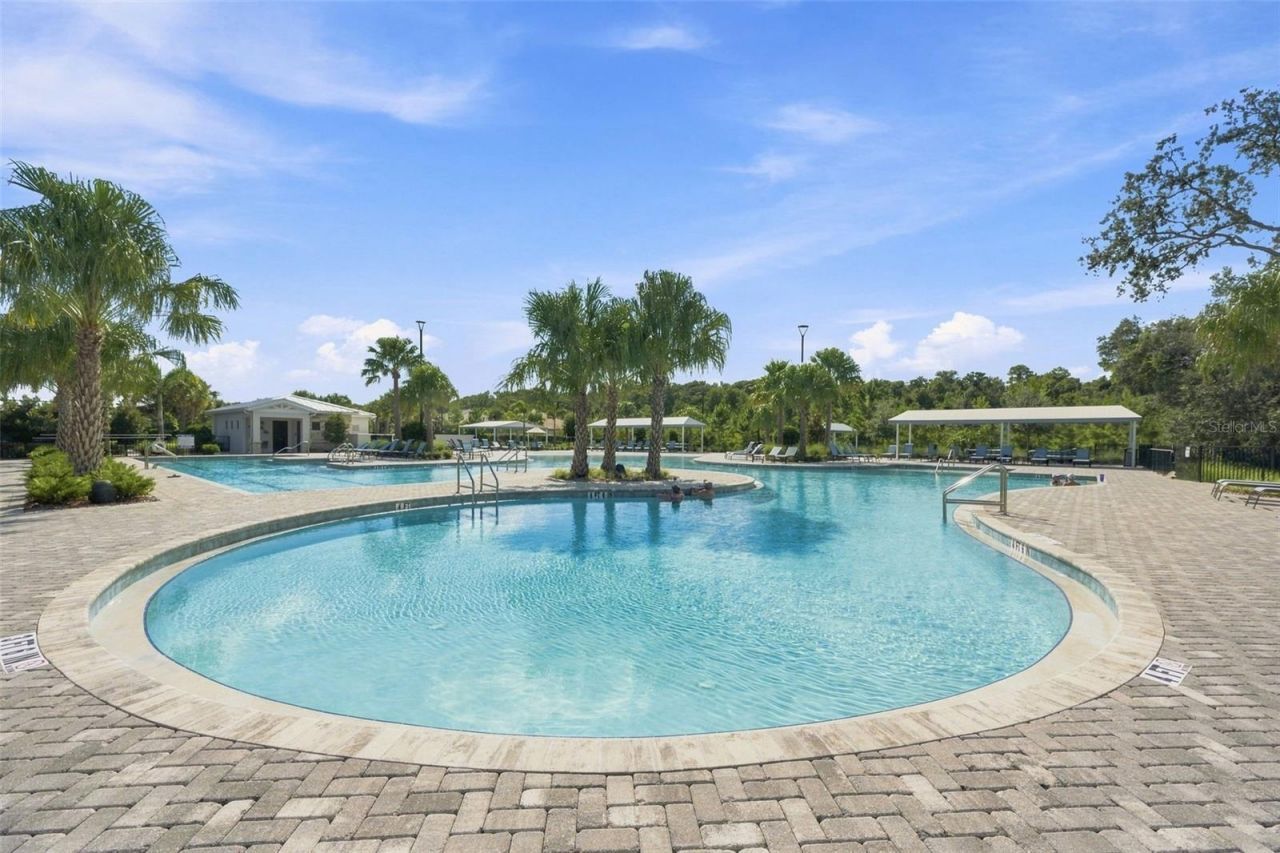 17254 Mango Shay Court, Land O Lakes, FL 34638 Photo