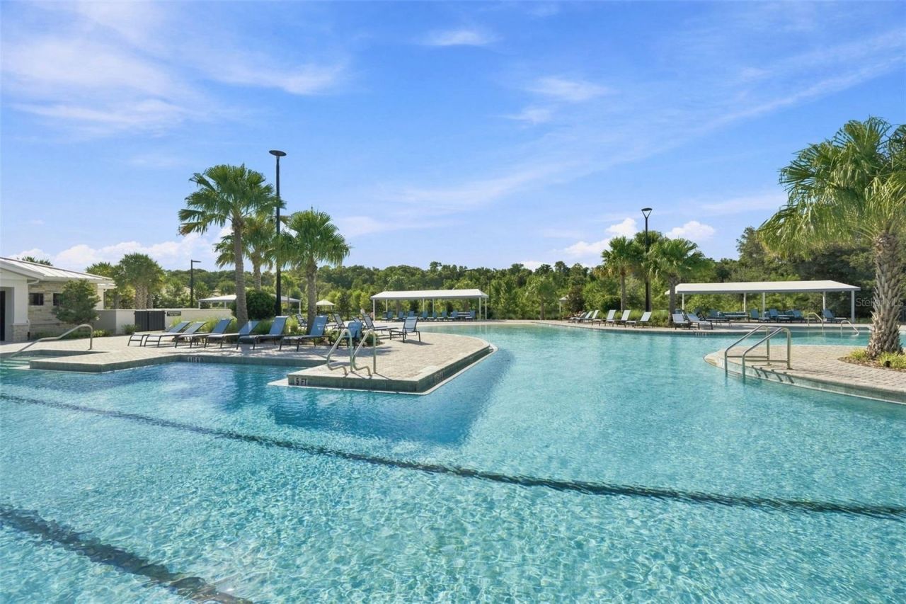17254 Mango Shay Court, Land O Lakes, FL 34638 Photo
