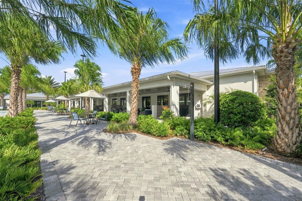 17254 Mango Shay Court, Land O Lakes, FL 34638 Photo
