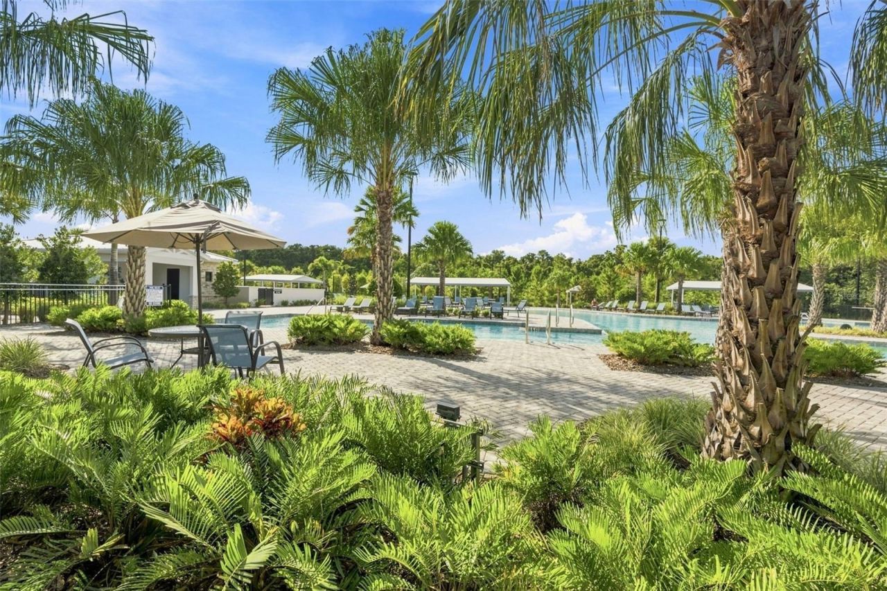 17254 Mango Shay Court, Land O Lakes, FL 34638 Photo