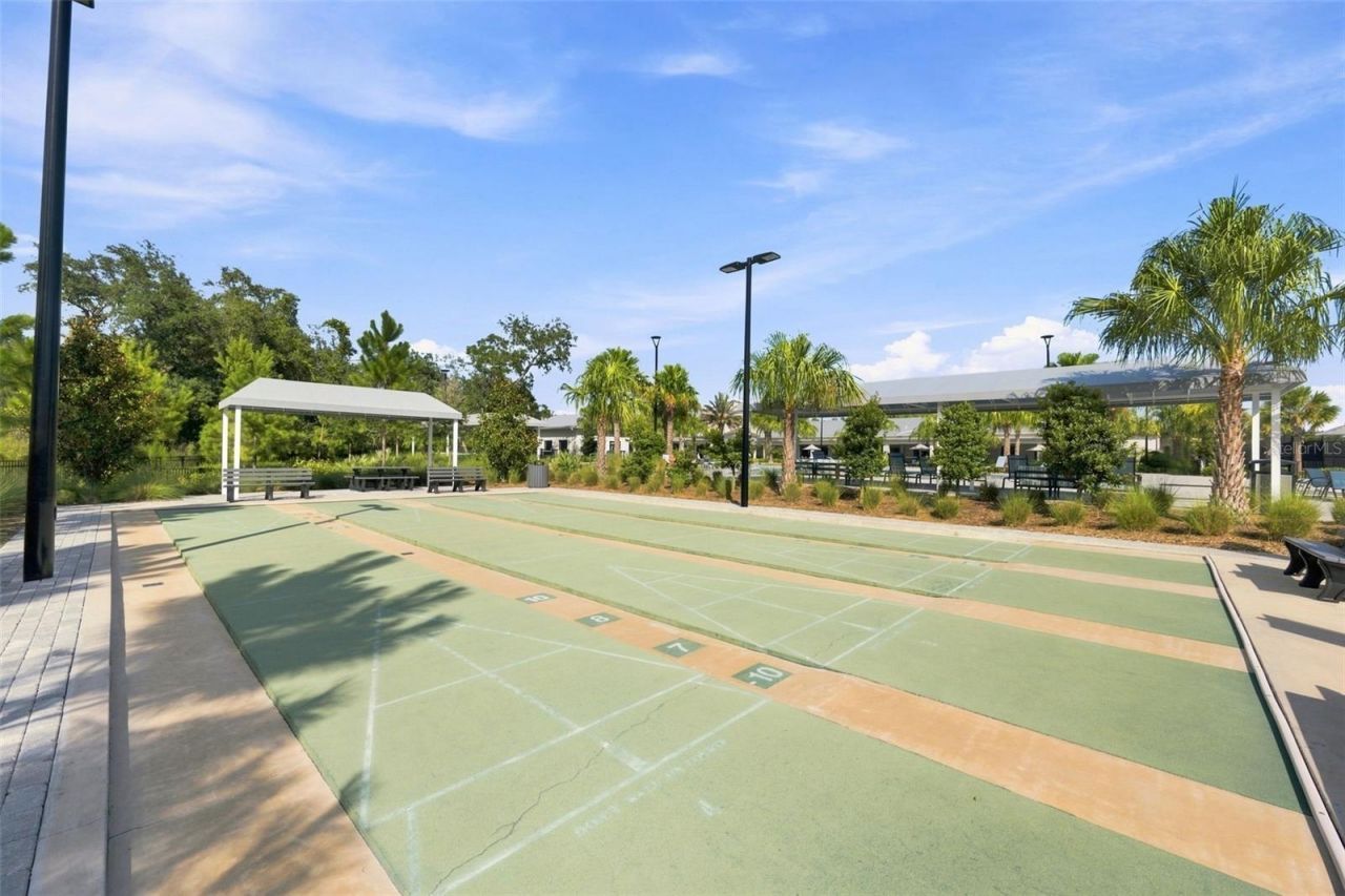 17254 Mango Shay Court, Land O Lakes, FL 34638 Photo