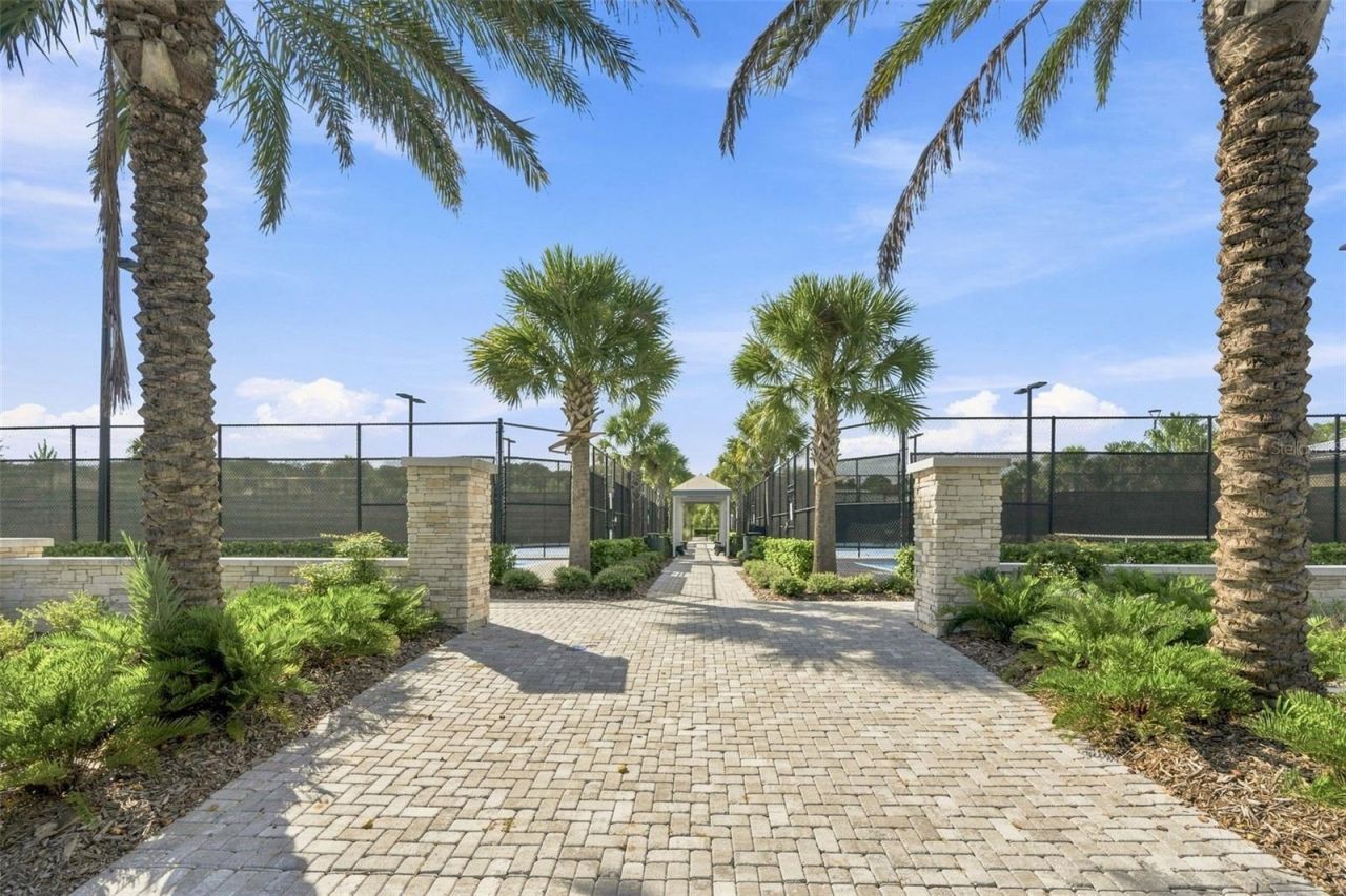 17254 Mango Shay Court, Land O Lakes, FL 34638 Photo