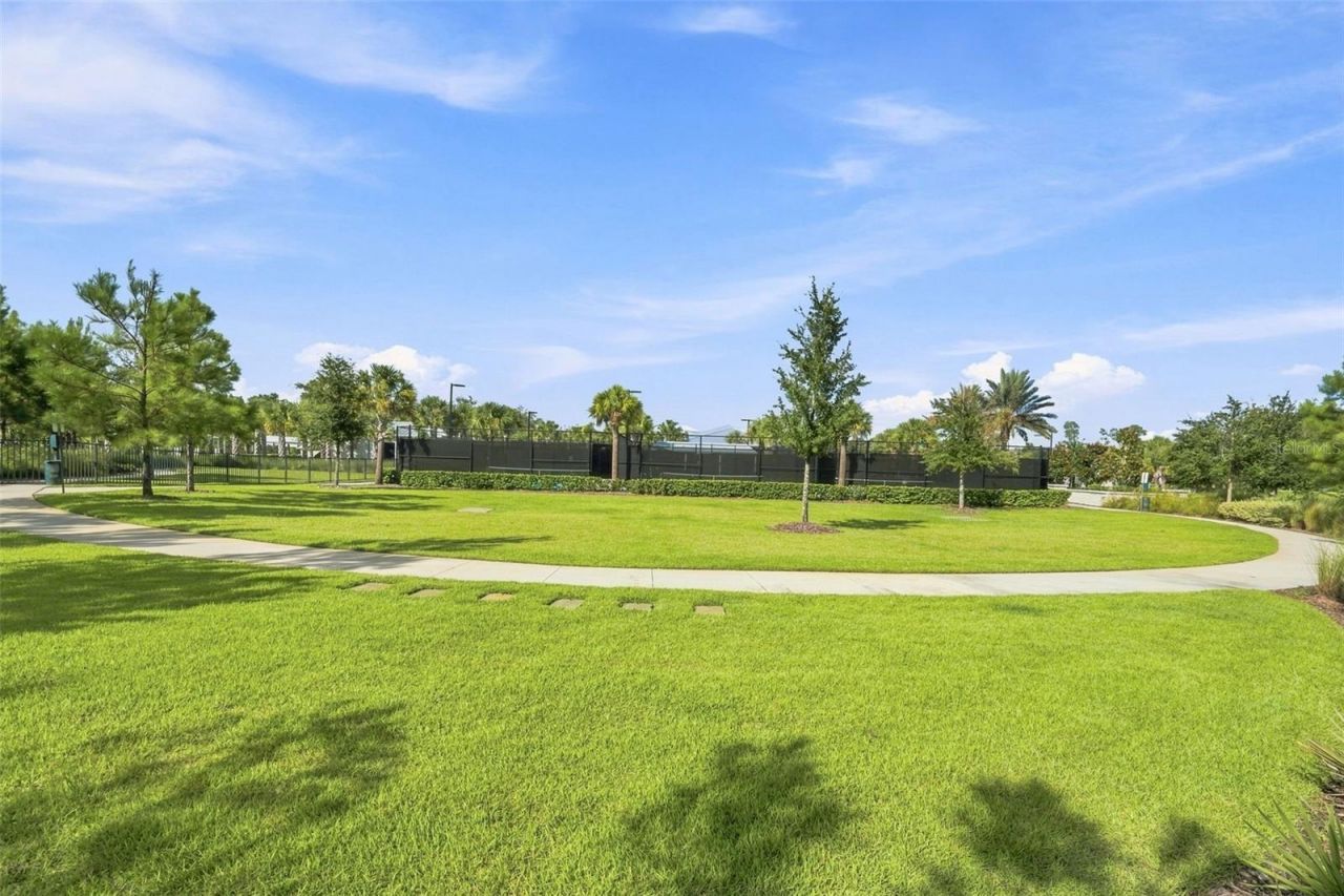 17254 Mango Shay Court, Land O Lakes, FL 34638 Photo