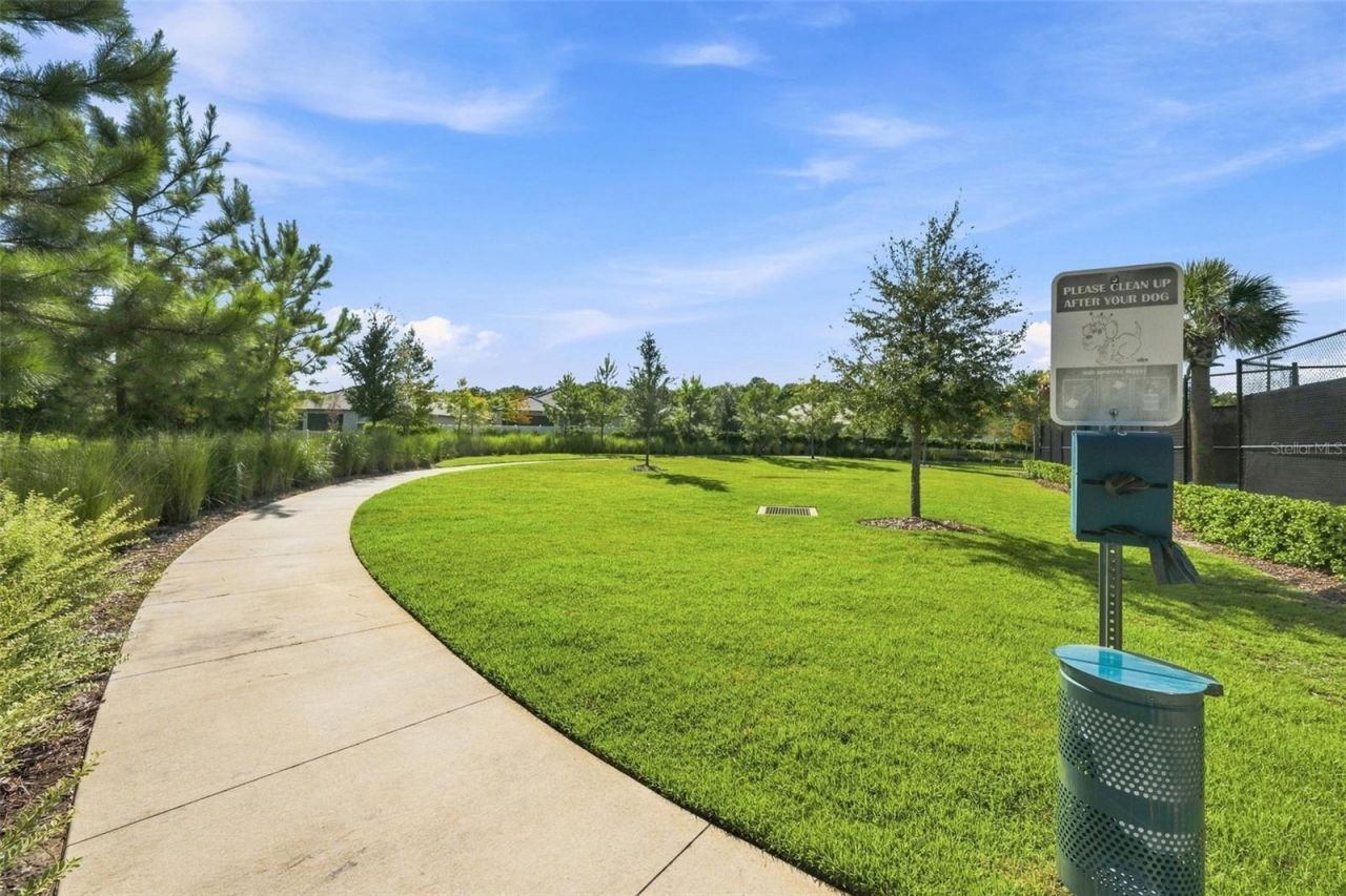 17254 Mango Shay Court, Land O Lakes, FL 34638 Photo