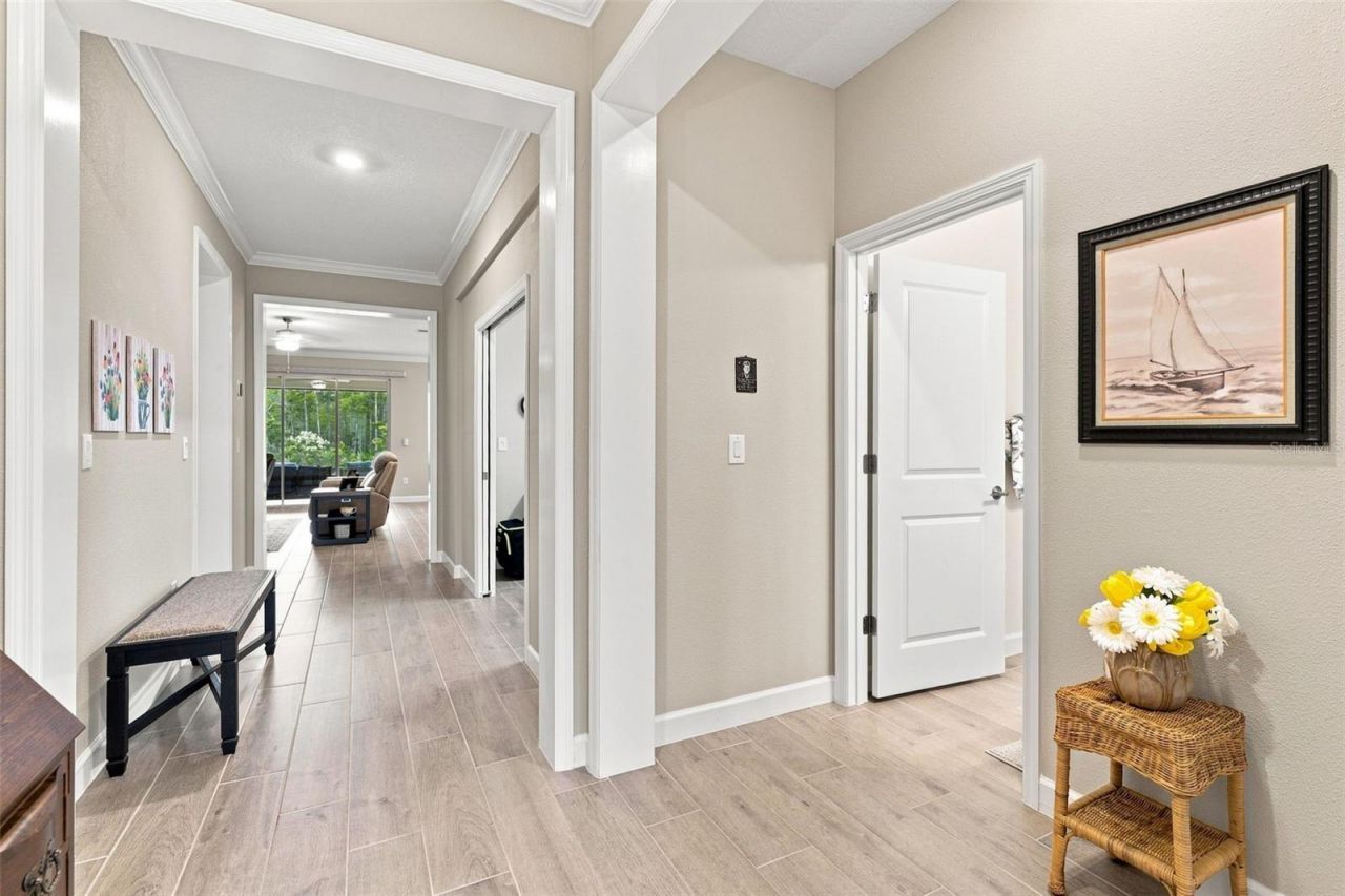 17254 Mango Shay Court, Land O Lakes, FL 34638 Photo