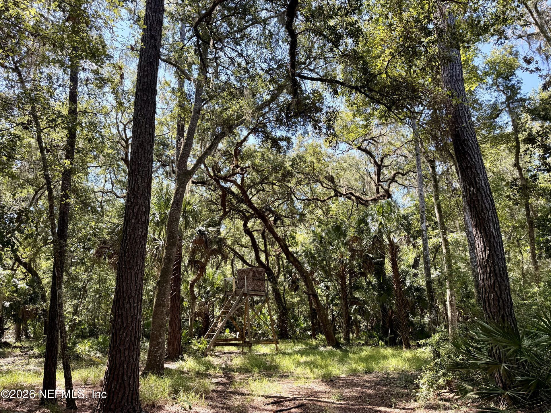 680 S Highway 17, San Mateo, FL 32187 Photo