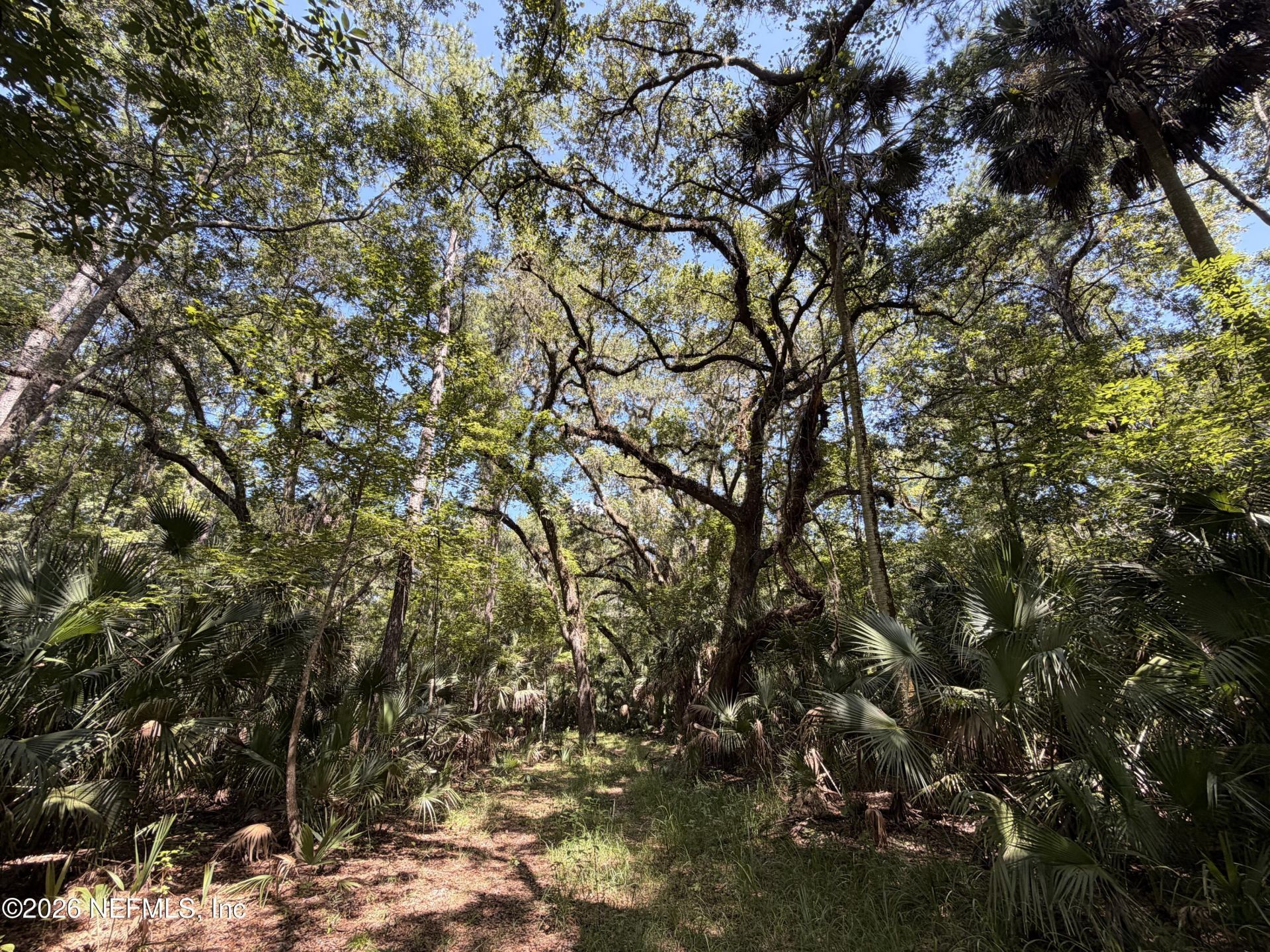 680 S Highway 17, San Mateo, FL 32187 Photo