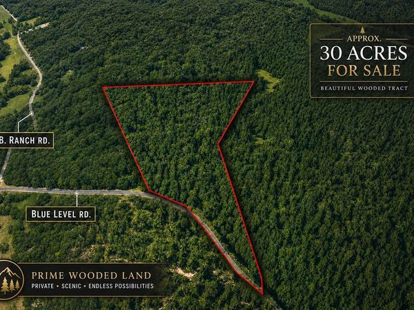 0 Blue Level Road , Rockfield, KY 42274