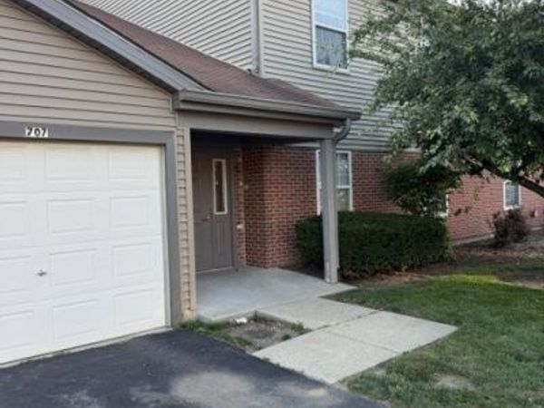 705 E Whispering Oaks Drive , Unit 705, Palatine, IL 60074