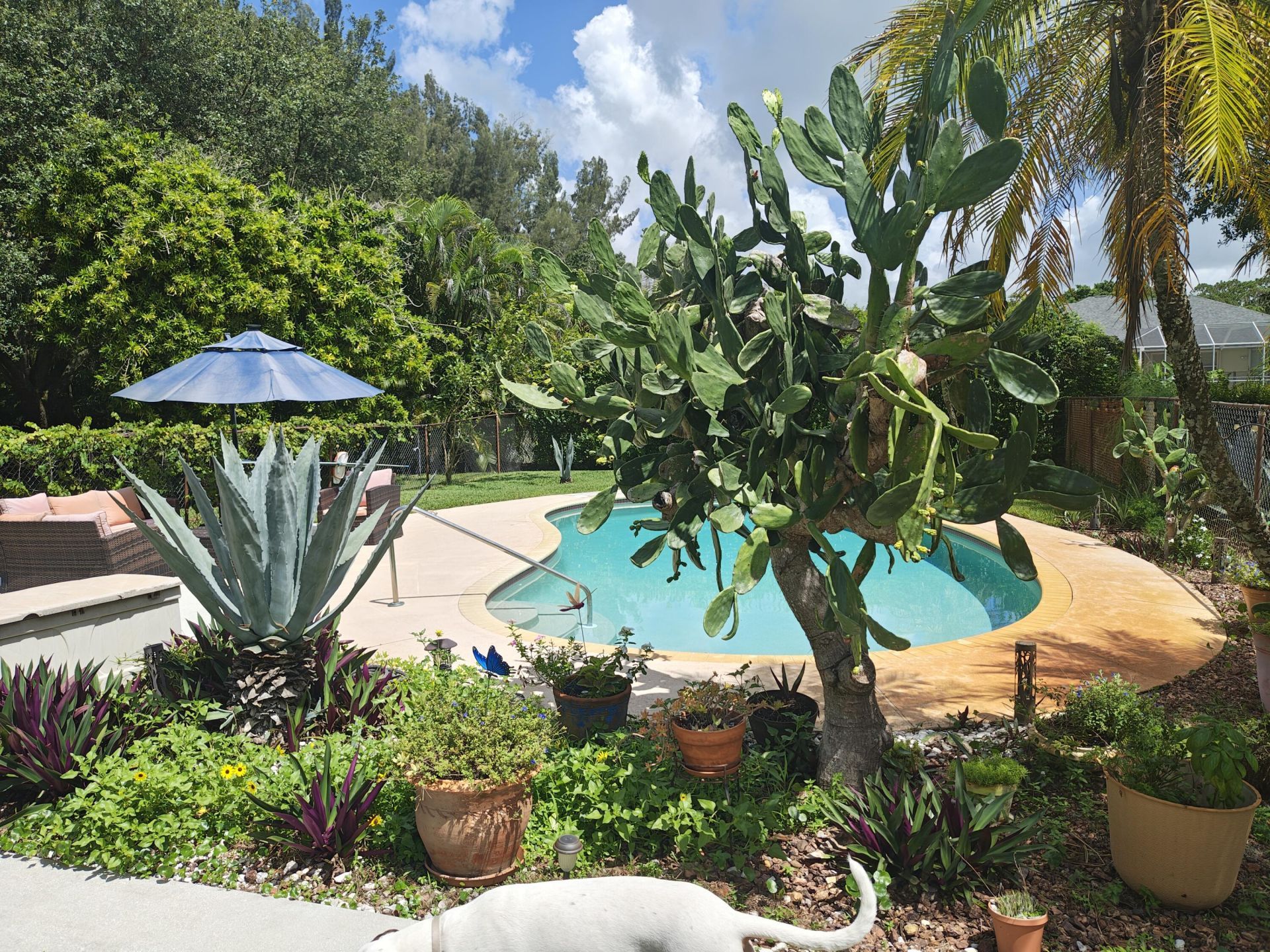 13881 42nd Road N, West Palm Beach, FL 33411 Photo