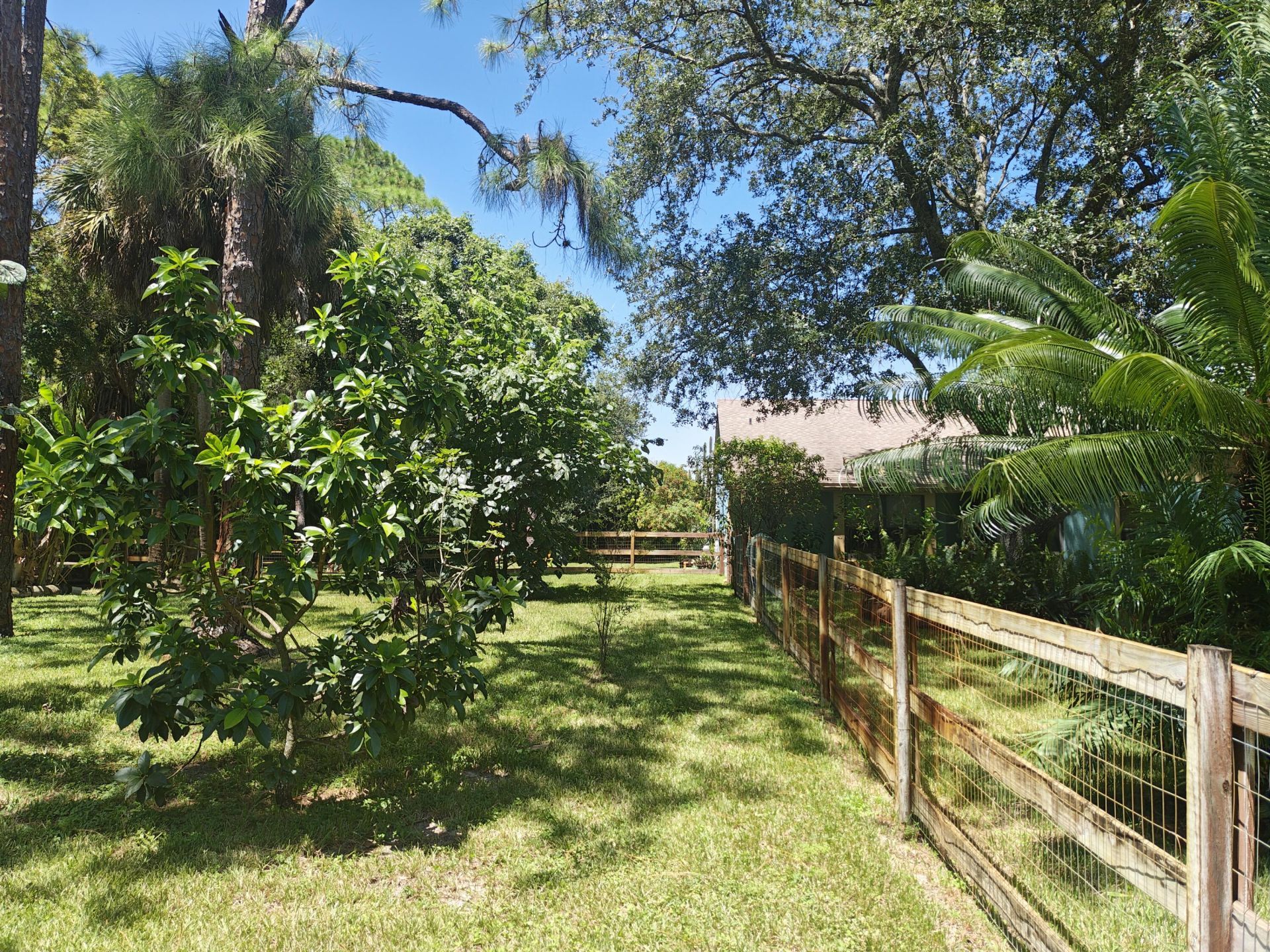 13881 42nd Road N, West Palm Beach, FL 33411 Photo
