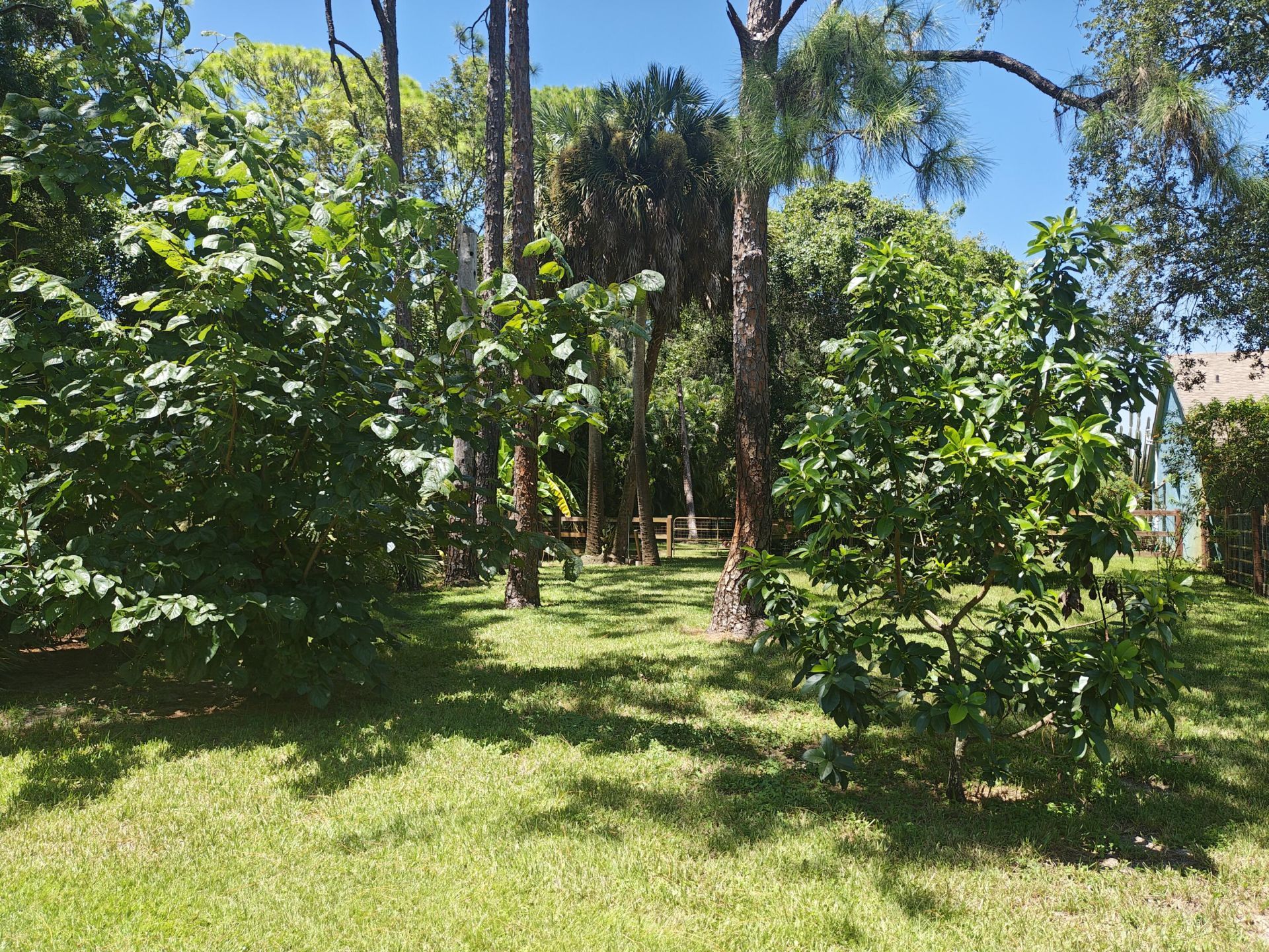 13881 42nd Road N, West Palm Beach, FL 33411 Photo