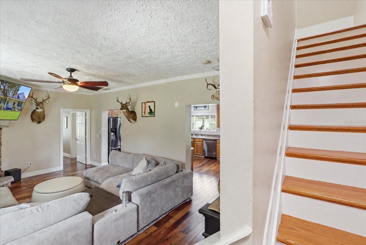 1750 W Mansfield Street , Lecanto, FL 34461 Photo