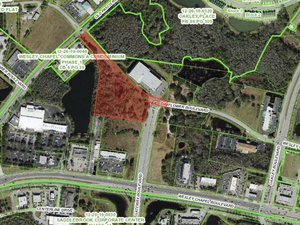 TBD DAYFLOWER Boulevard, Wesley Chapel, FL 33544