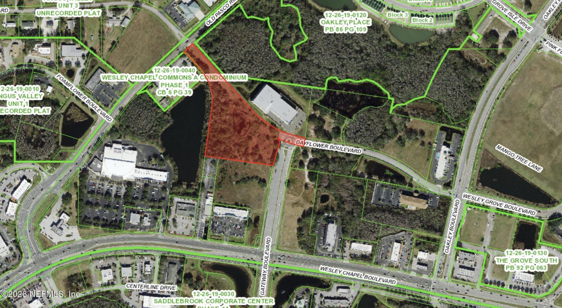 Tbd Dayflower Boulevard, Wesley Chapel, FL 33544 Photo
