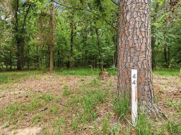 Lot 44 Sterling Shores Drive , Scroggins, TX 75480