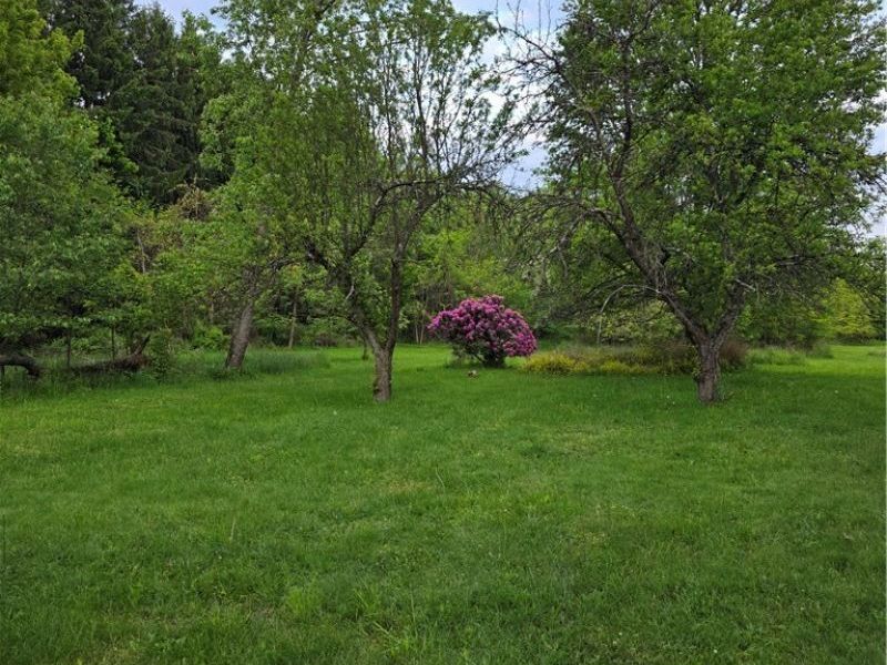 1944 Turkeyfoot Lake Road, Barberton, OH 44203 Photo 49