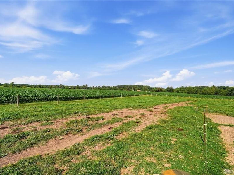 1040 Jeffrey Road, Oregonia, OH 45054 Photo 71