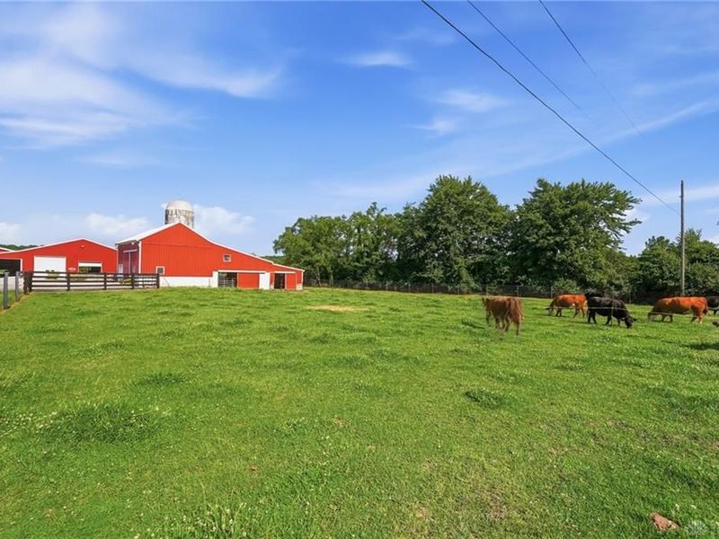1040 Jeffrey Road, Oregonia, OH 45054 Photo 85
