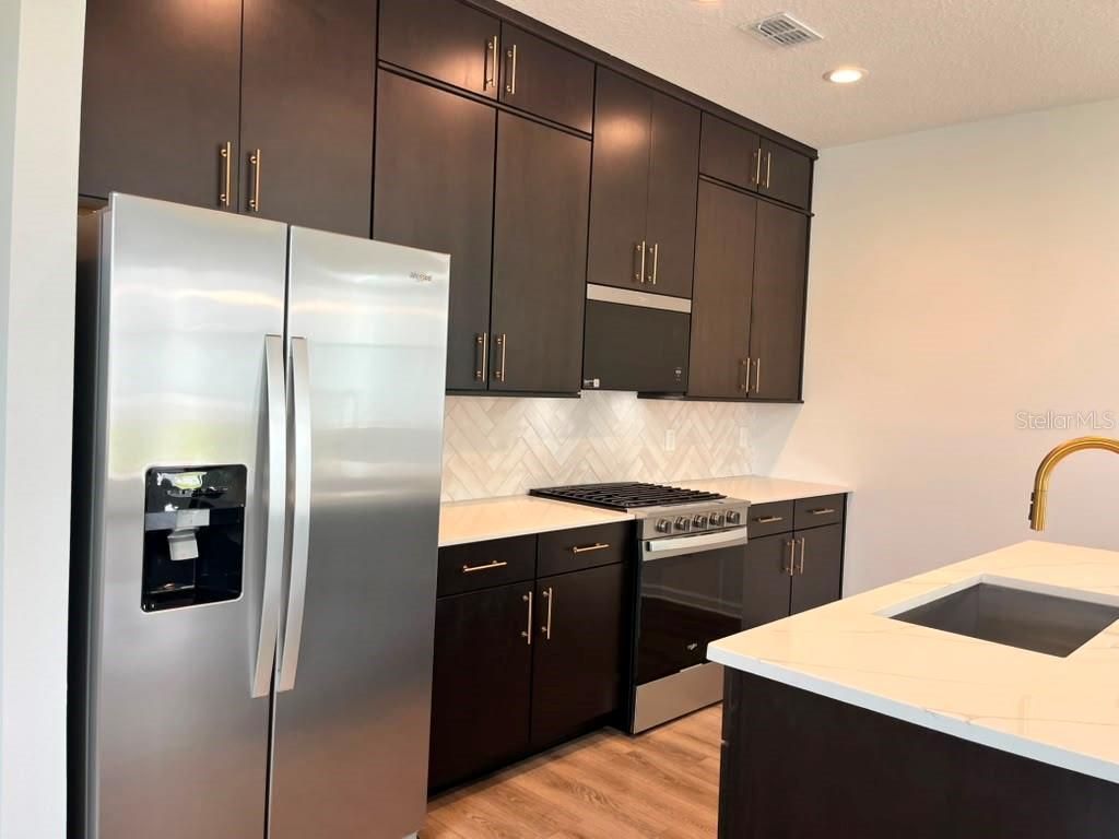 1614 Ridgeback Lane, Apopka, FL 32703 Photo