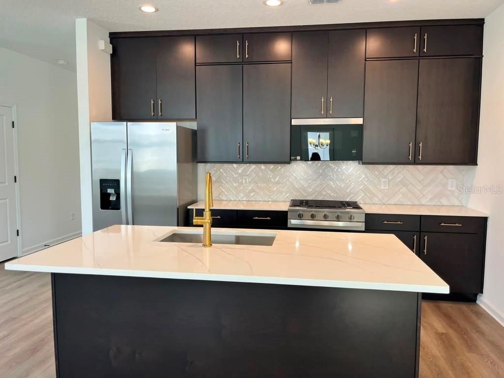 1614 Ridgeback Lane, Apopka, FL 32703 Photo