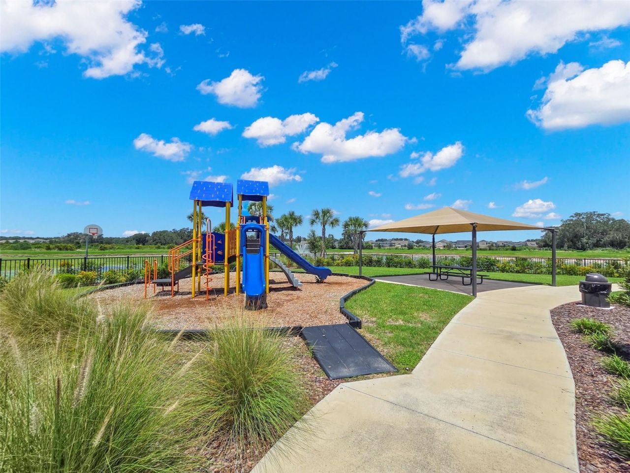 2908 Evergreen Elm Pass , Wesley Chapel, FL 33543 Photo
