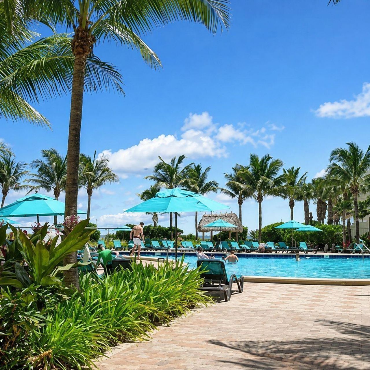 3801 S Ocean Drive, Unit 8b, Hollywood, FL 33019 Photo
