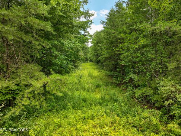 52.88 AC Nashville Hwy , Deer Lodge, TN 37726