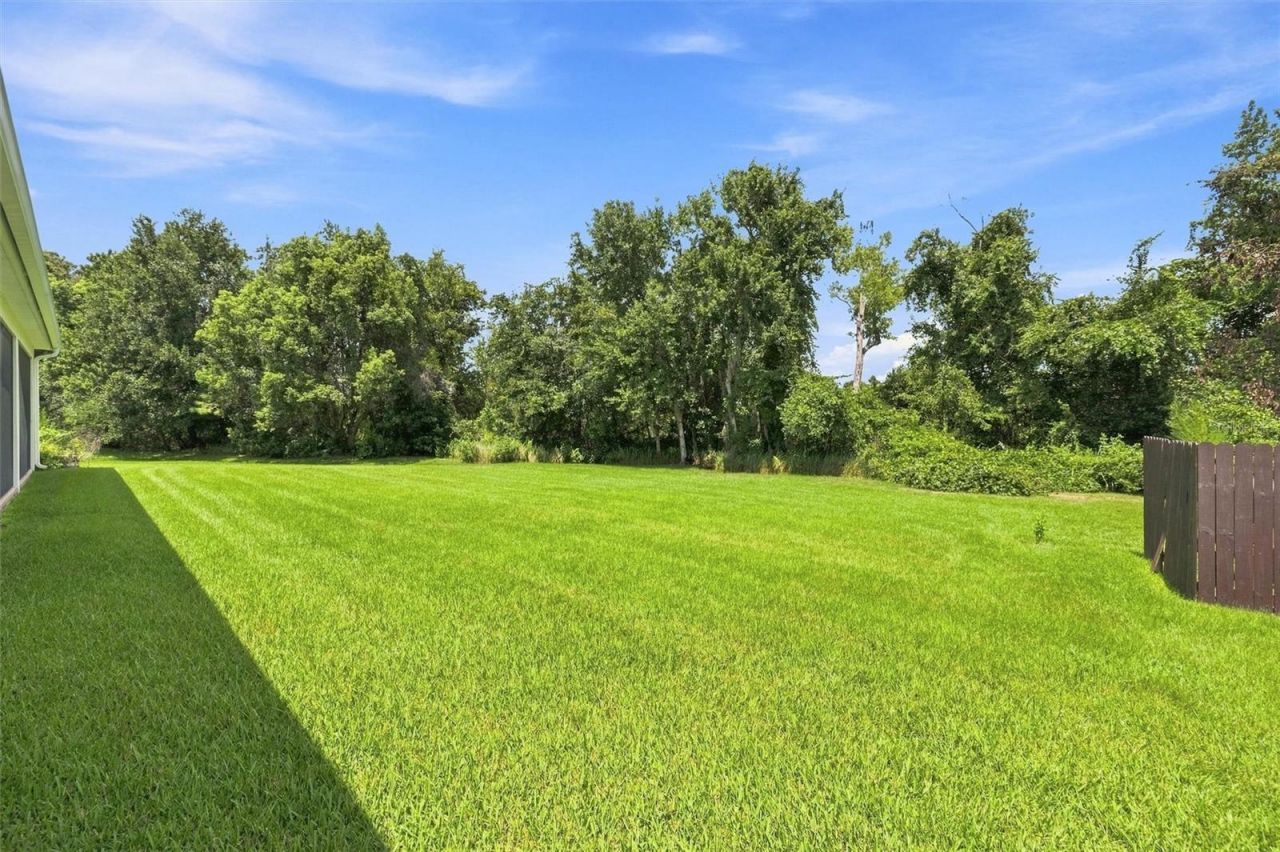 19902 Wellington Manor Boulevard, Lutz, FL 33549 Photo