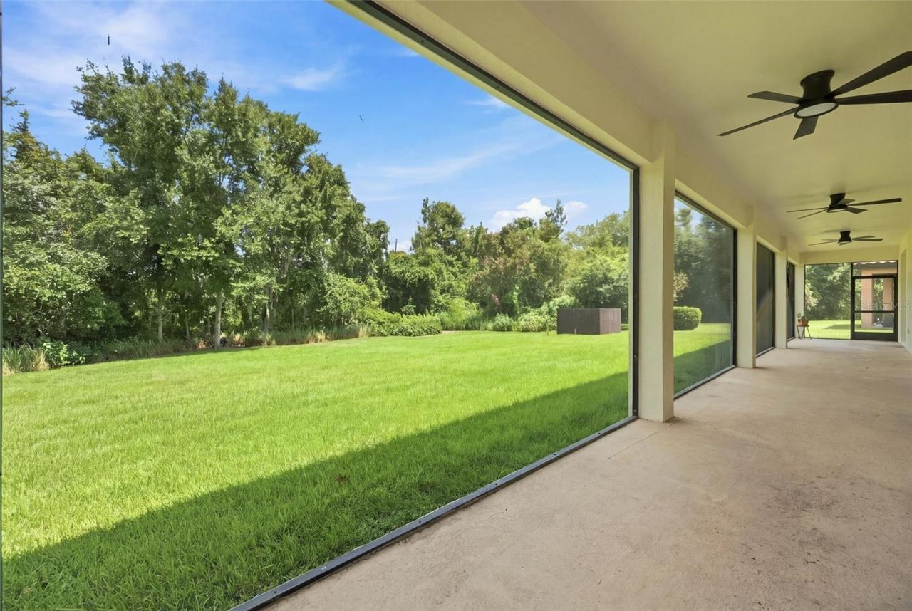 19902 Wellington Manor Boulevard, Lutz, FL 33549 Photo