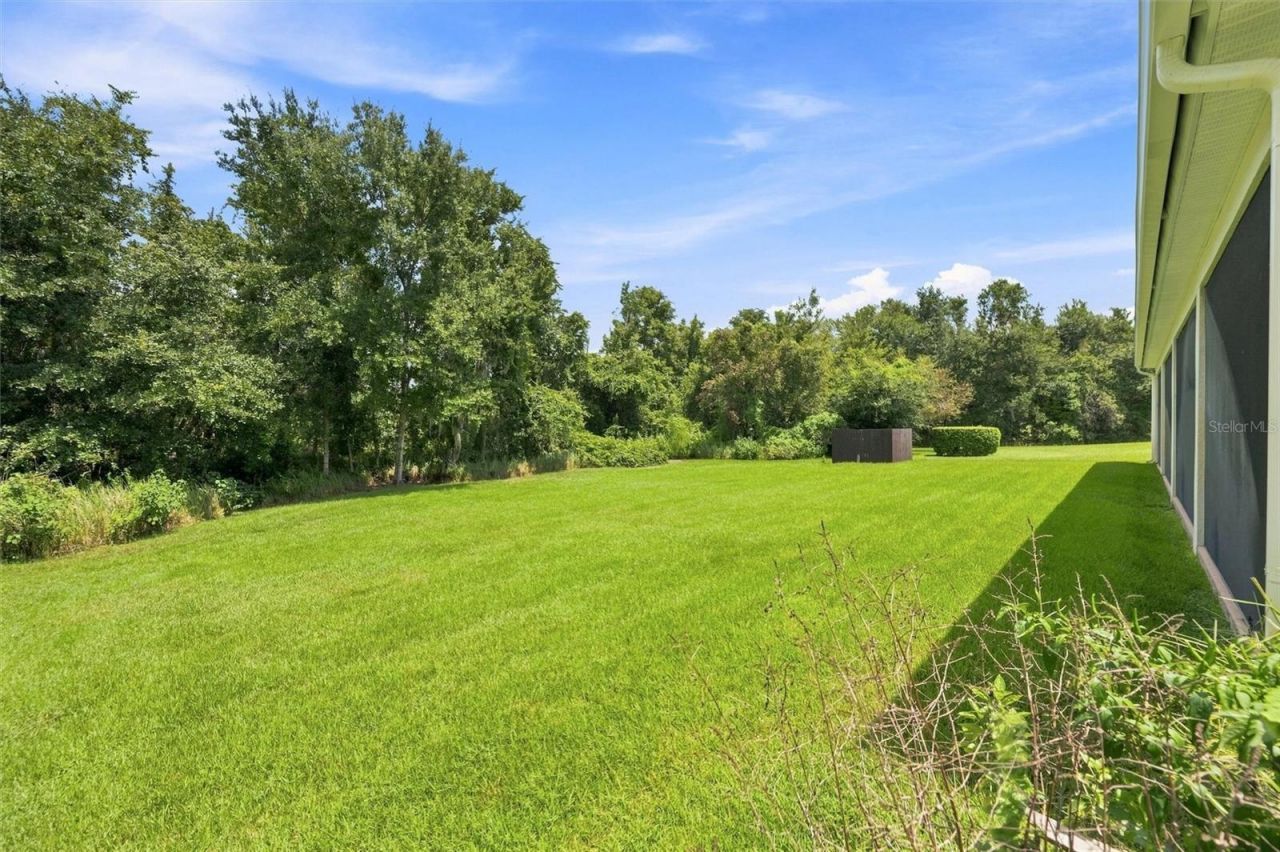 19902 Wellington Manor Boulevard, Lutz, FL 33549 Photo