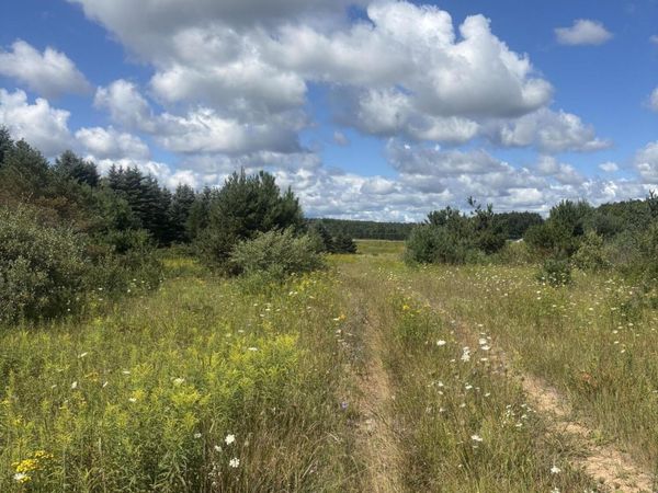 M-33, Onaway, MI 49765