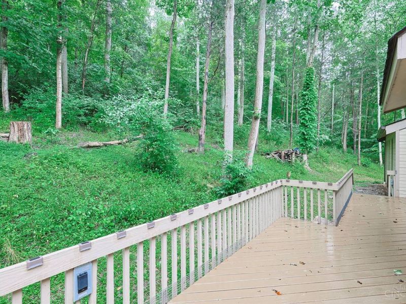 3533 Woodland Trail, Pierce Township, OH 45255 Photo 43