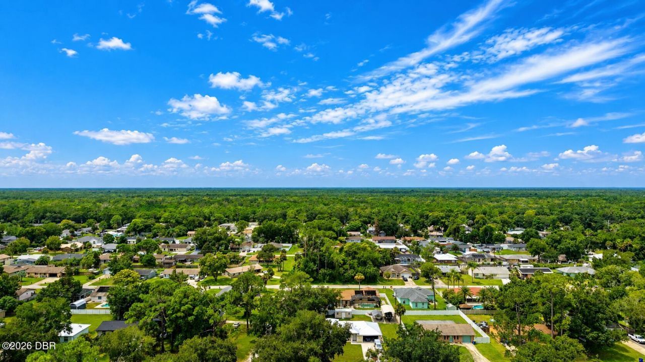 3047 Yule Tree Drive, Edgewater, FL 32141 Photo