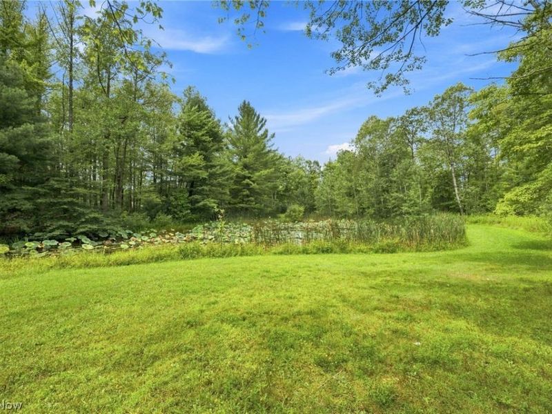 8995 Knotty Pine Lane , Chardon, OH 44024 Photo 45